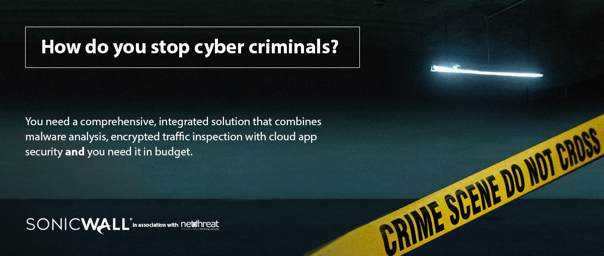 How do you stop cyber criminals?